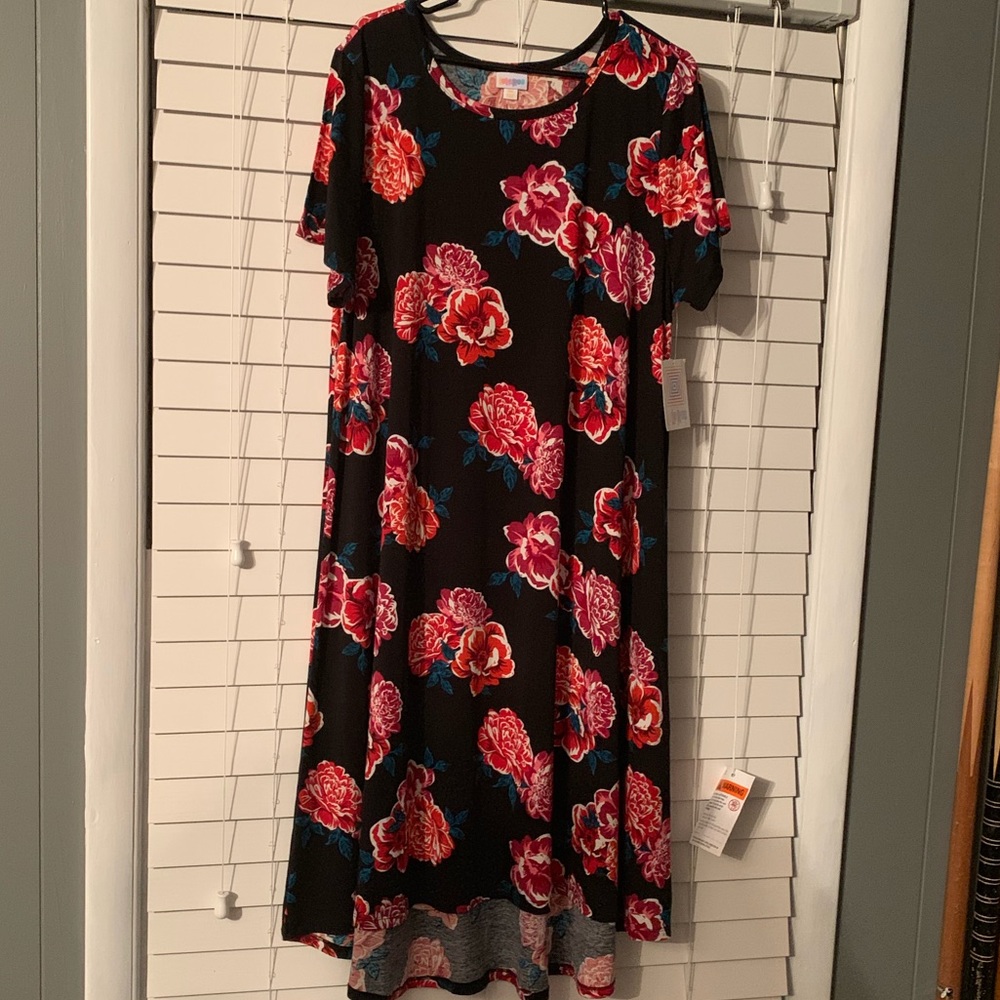LulaRoe Carly 3xl BNWT